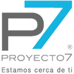 proyecto 7 (1) (1)